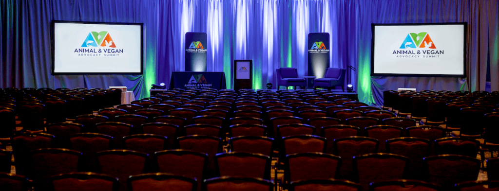 Ava Summit Stage